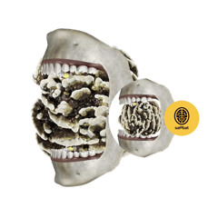 Wisdom Toof Prd. Lozano