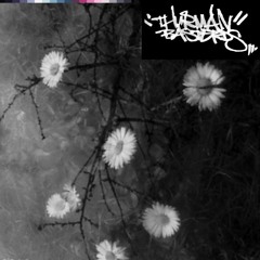 HEY STINKY feat.DJ SEDI BODEL