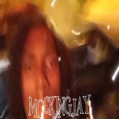 Yung Sunriz3 - Mockingjay (prod. neverl0se)