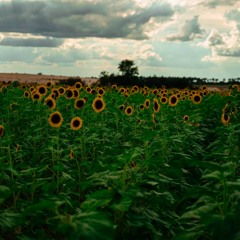 Late Bloomer (feat. JADE) [Bonus]