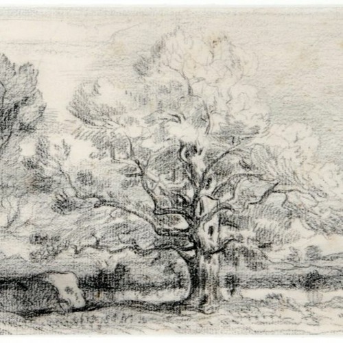 Trees and Fields by Theodore Rousseau