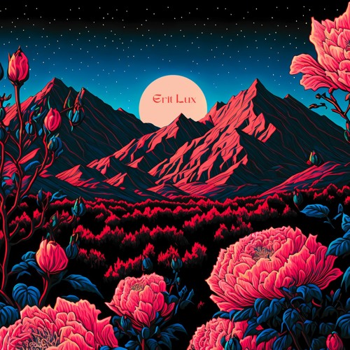 Magic Forest [2024]