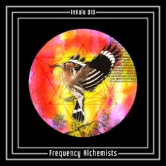 InVolo 010 | Frequency Alchemists | Gitana