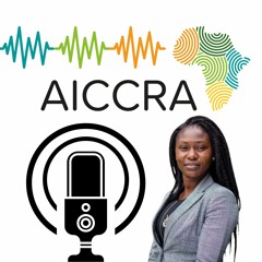 AICCRA in Ghana | 4. Speaking to farmers at Tuba's vegetable farms