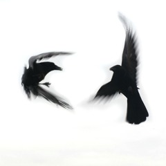 Wipeout Ft. grouchguapo