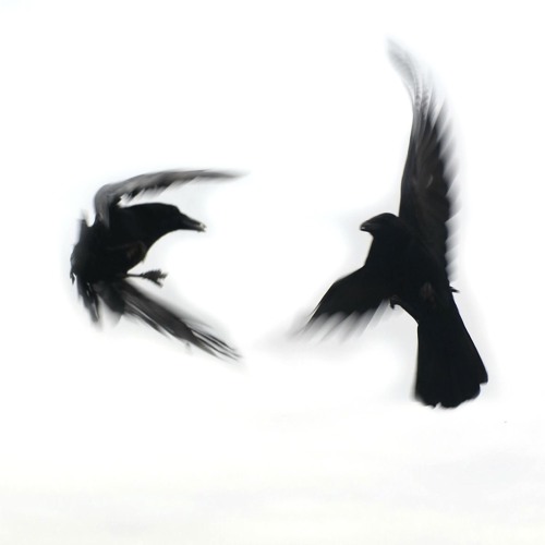 Wipeout Ft. grouchguapo