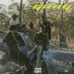 Gang (ft. Apostle)