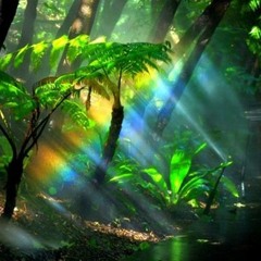 Ｊａｎｇｕｒｕ- ｍｉｚｕ