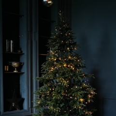 Hollie Kenniff - O Christmas Tree