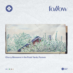 Cherry Blossoms in the Front Yards, Forever - follow