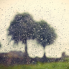 Under the Rain Clouds