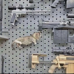 i cry so loud i cant hear your voice