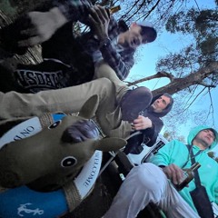 VINYAGROUP SOUNDS