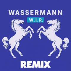 WASSERMANN - W.I.R. (Roman Schulz Remix)