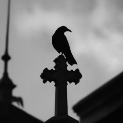 [EXCLUSIVE] MF DOOM x Dark Boom Bap Type Beat ⚡️ “RAVEN”