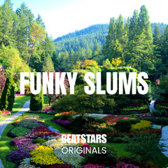 Alternative Hip-Hop Type Beat Funky Slums
