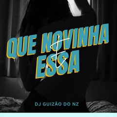 MC GW , MC FLAVINHO & DJ Guizão Do NZ - Que novinha foda, Puta que pariu ( DJ Guizão )