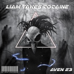 AVEN 23 - LIAM TAKES COCAINE [WCR-02]