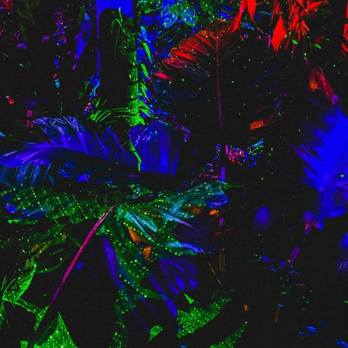 Sick Suns