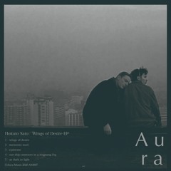 PREMIERE: Hokuto Sato - Wings Of Desire [Aura]