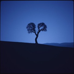 Obstacle