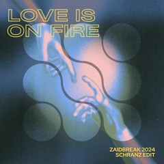 Zaidbreak - Love Is On Fire [FREE ITALOBROTHERS SCHRANZ EDIT]