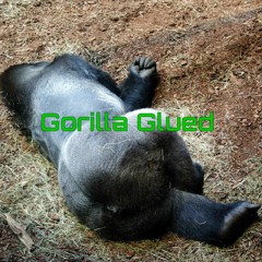 Gorilla Glued (Prod. The Mulb)/ Released 4-20-20