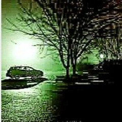 SWAMPKILL X TVNNOS X VLXRTHALORD - PARKING LOT **Leak*
