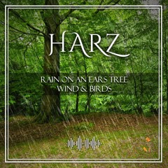 NaturalPark Harz Forest Spring Water Rain Birds EarsTree Part 2.WAV