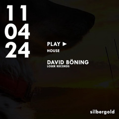 04/11/24 at Silbergold All Night Snippet