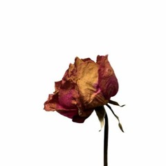 Killing Me Softly (Ukulele Cover)