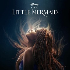 Part of That World - The Little Mermaid (Cover)