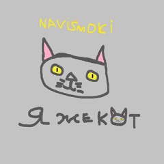Я же кот