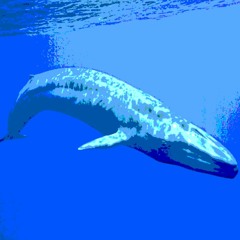 Blue Whale 🐳
