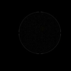 G07-135 - Stellar