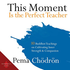 download KINDLE 🖋️ This Moment Is the Perfect Teacher: Ten Buddhist Teachings on Cul