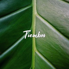 Living Room & Ricardo Schneider – Tiembos