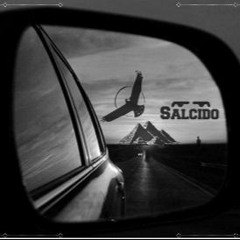 Salcido - The Road Traveled