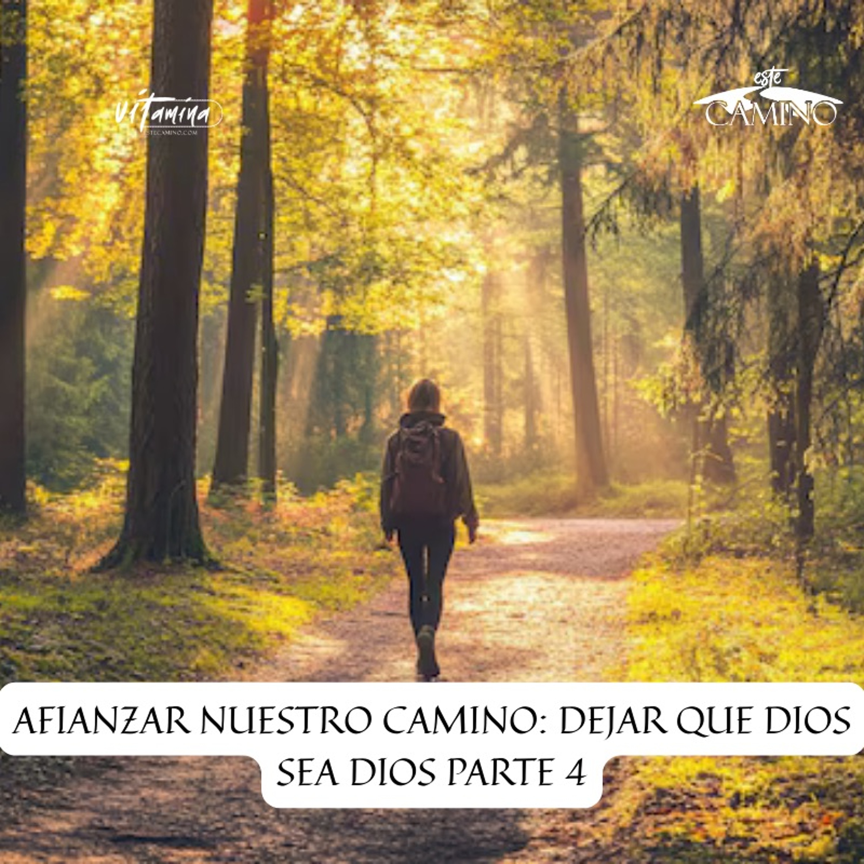 AFIANZAR NUESTRO CAMINO: DEJAR QUE DIOS SEA DIOS 4de4, Emilia episode artwork