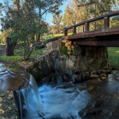 ivory - polyphia cut and slowed