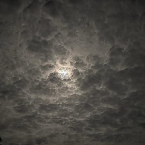 Stream Gramercy Park Alicia keys (ukulele cover) by sophia Listen