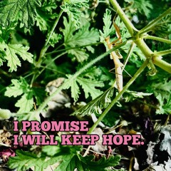 I PROMISE