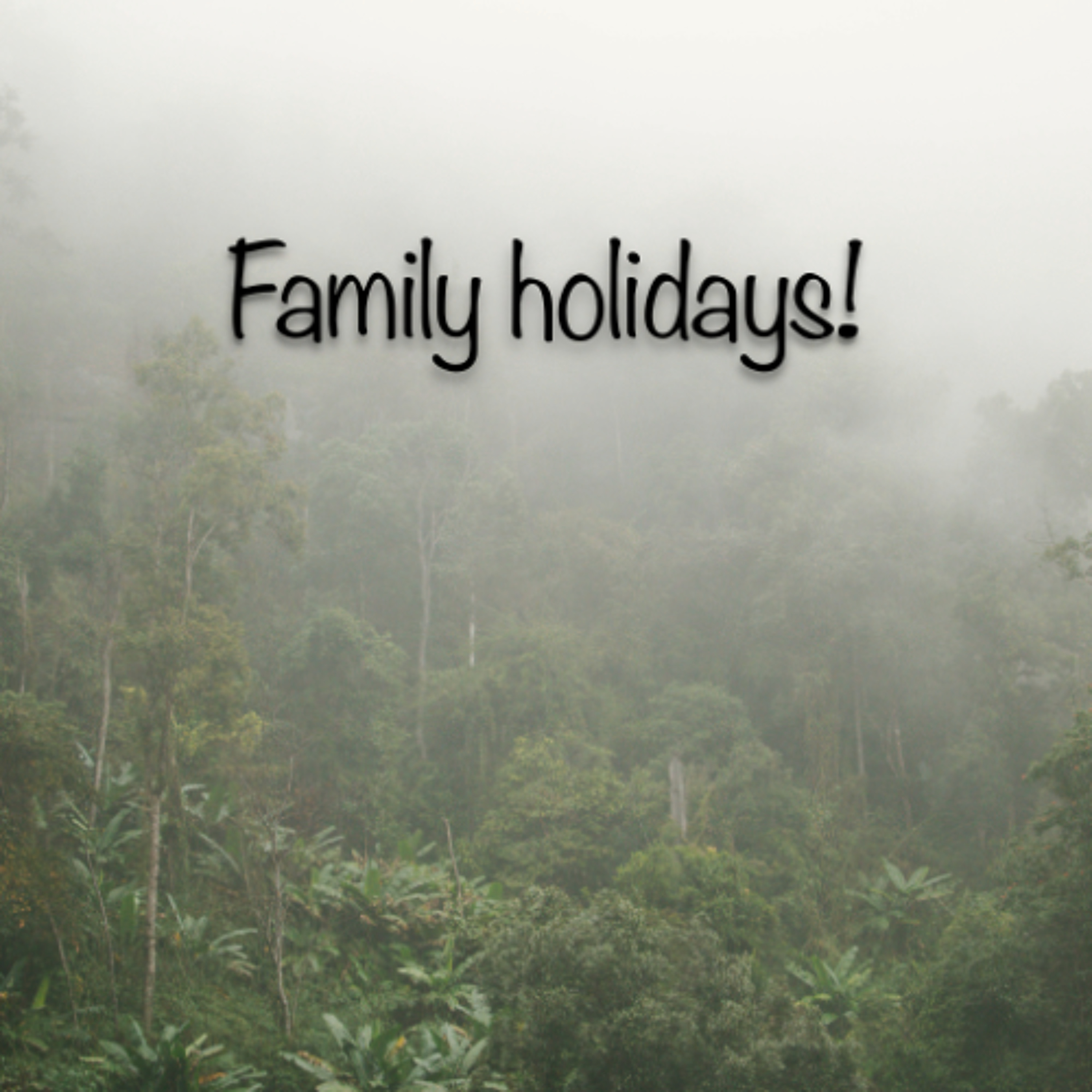 Family Holidays - Jordan, Thiv, Minh and Ryan - St Patrick's School episode artwork