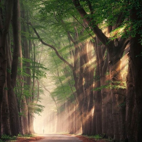 Sada Hoon Apne Pyar Ki -