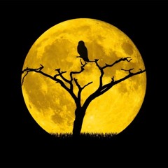 Darkest Days (Demo - John Petronis)