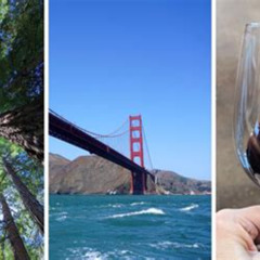 Best Cheap Things To Do In San Francisco Bay Area Tours Reviews