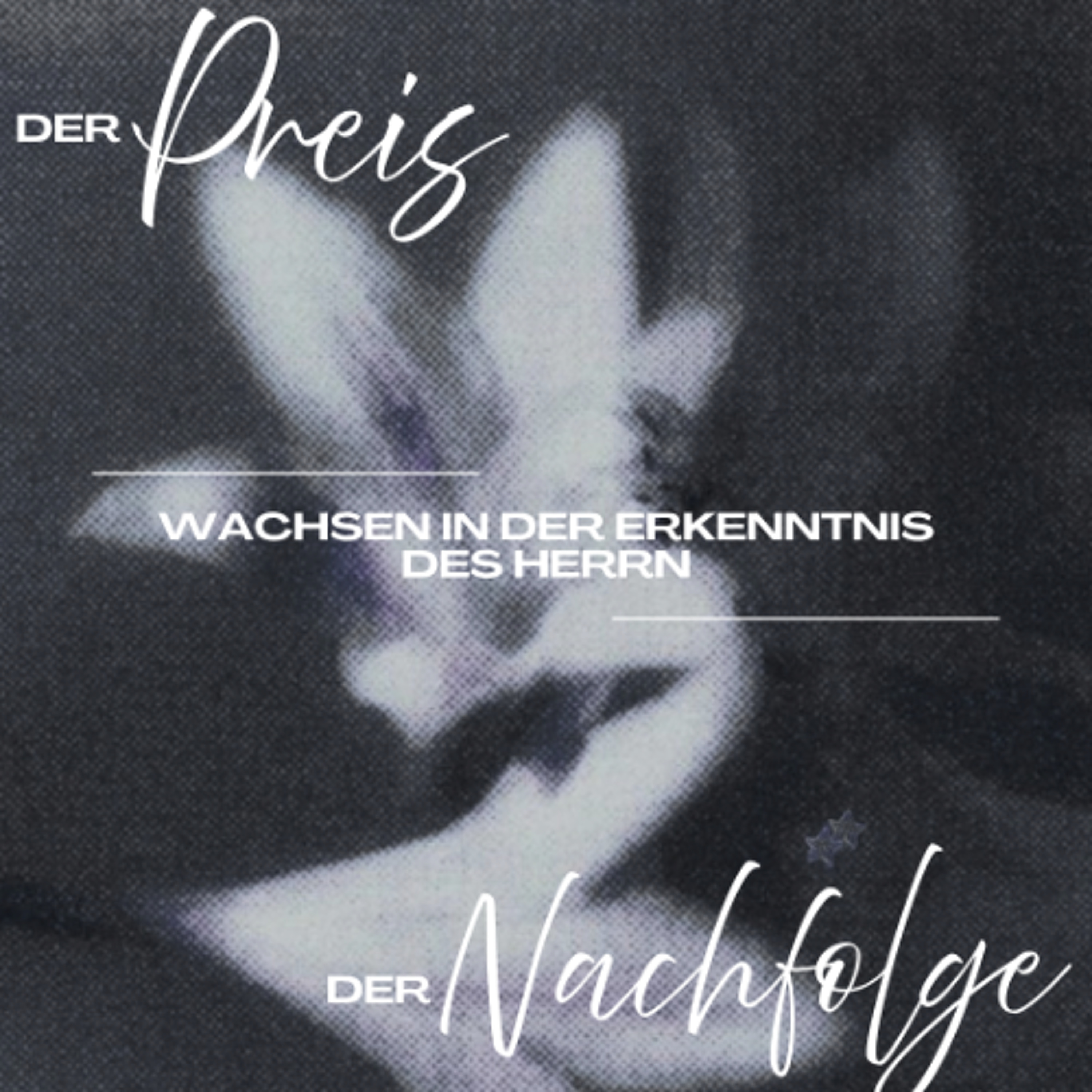 26/04/19 | Wachsen in der Erkenntnis des Herrn | Joel Sengoga episode artwork