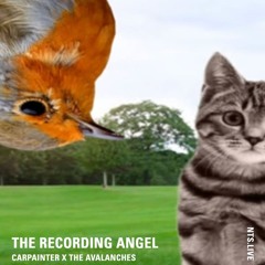 The Recording Angel on NTS - Episode 18 - Carpainter - 24.09.25