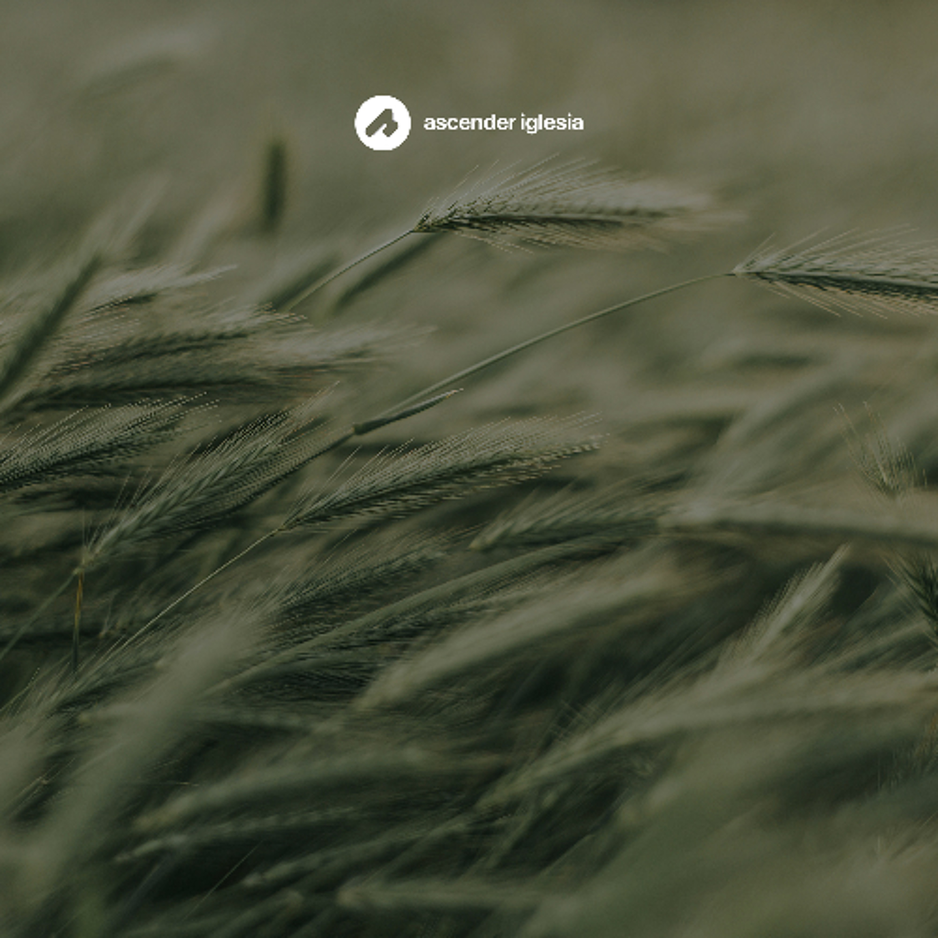 El Príncipe de Paz