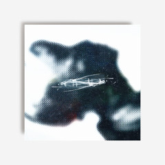Conna Haraway - Spatial Fix (snippets)